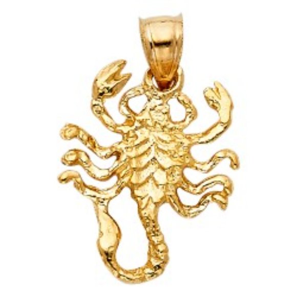 New 14K Yellow Gold Scorpio ♏️ Pendant